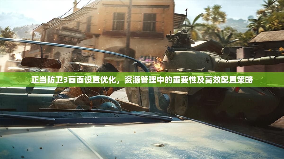 正当防卫3画面设置优化，资源管理中的重要性及高效配置策略