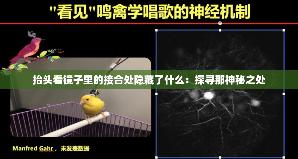 抬头看镜子里的接合处隐藏了什么：探寻那神秘之处