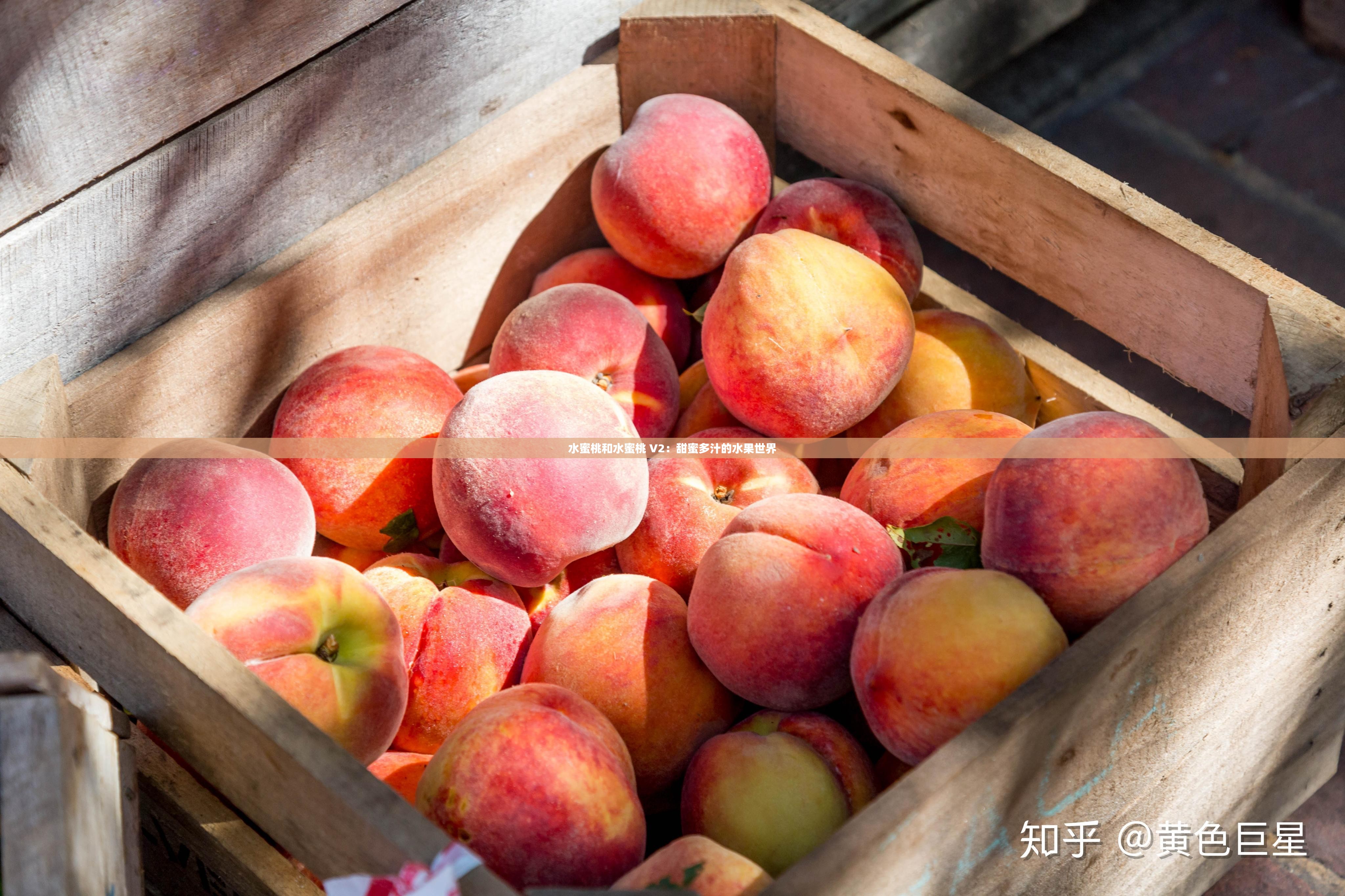 水蜜桃和水蜜桃 V2：甜蜜多汁的水果世界