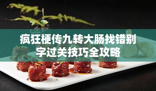 疯狂梗传九转大肠找错别字过关技巧全攻略