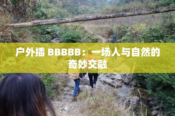 户外插 BBBBB：一场人与自然的奇妙交融