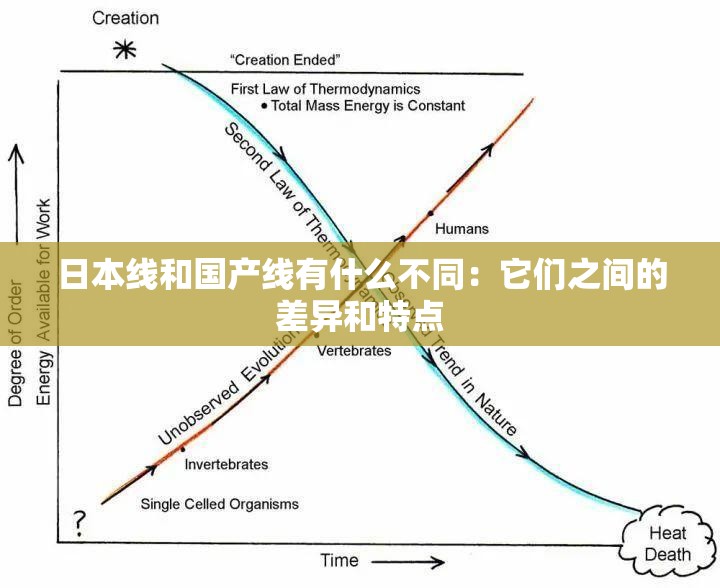 日本线和国产线有什么不同：它们之间的差异和特点