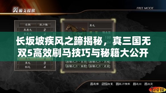长坂坡疾风之蹄揭秘，真三国无双5高效刷马技巧与秘籍大公开