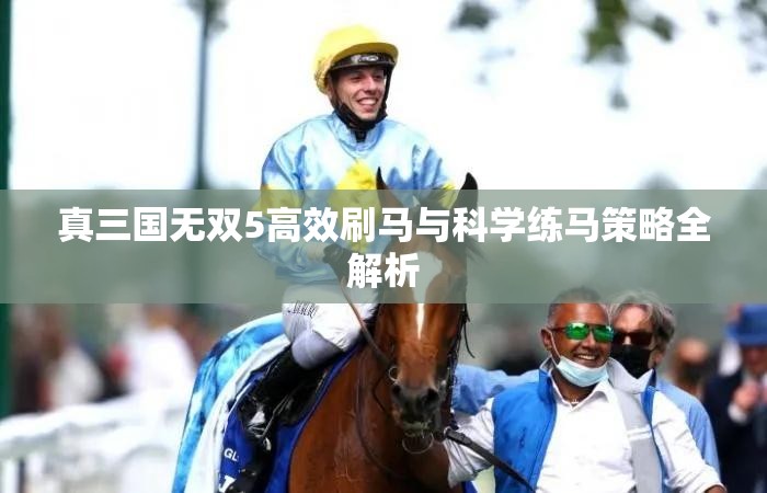 真三国无双5高效刷马与科学练马策略全解析