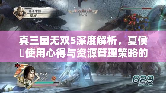真三国无双5深度解析，夏侯惇使用心得与资源管理策略的艺术