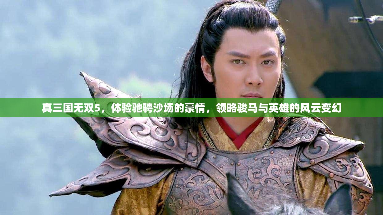 真三国无双5，体验驰骋沙场的豪情，领略骏马与英雄的风云变幻