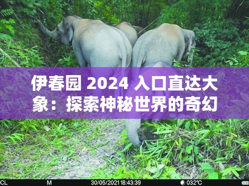 伊春园 2024 入口直达大象：探索神秘世界的奇幻之旅