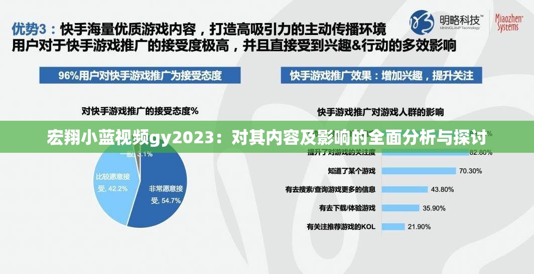 宏翔小蓝视频gy2023：对其内容及影响的全面分析与探讨