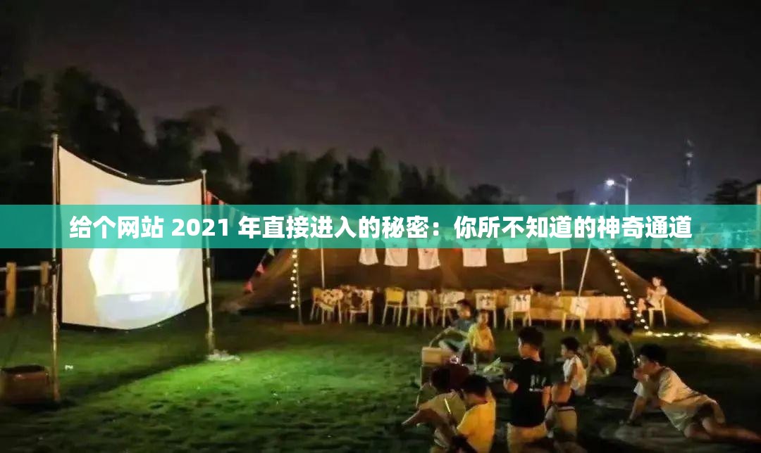 给个网站 2021 年直接进入的秘密：你所不知道的神奇通道
