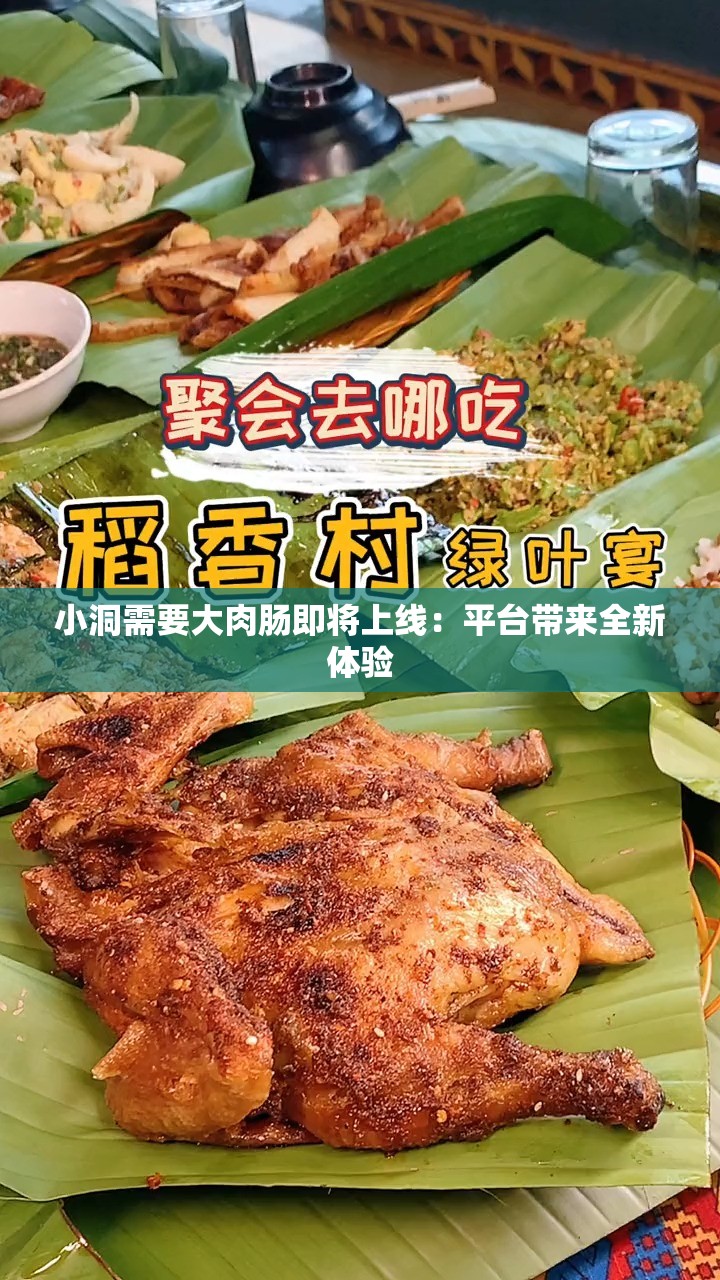小洞需要大肉肠即将上线：平台带来全新体验