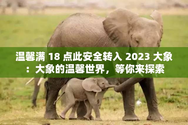 温馨满 18 点此安全转入 2023 大象：大象的温馨世界，等你来探索