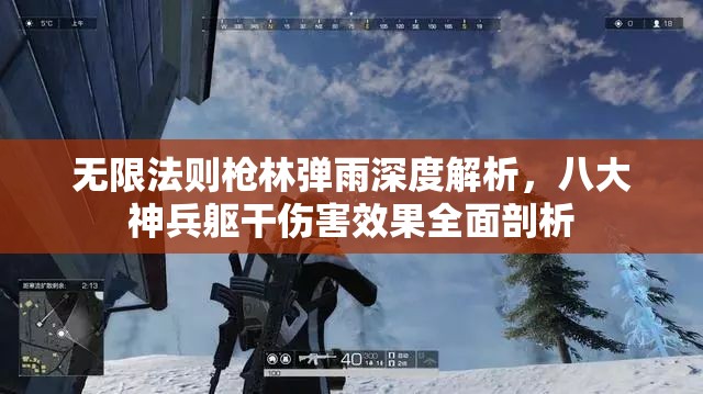 无限法则枪林弹雨深度解析，八大神兵躯干伤害效果全面剖析