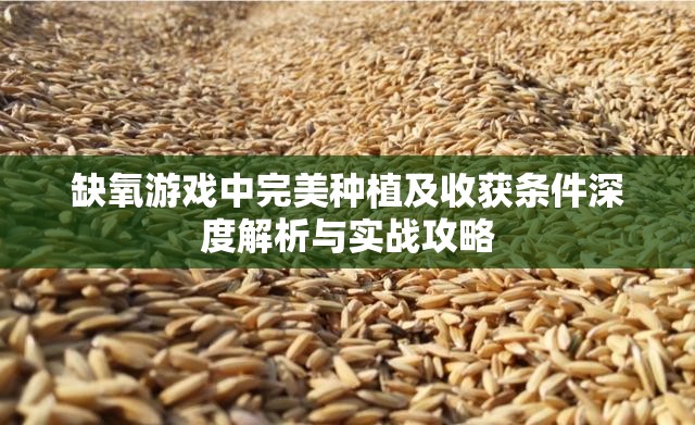 缺氧游戏中完美种植及收获条件深度解析与实战攻略