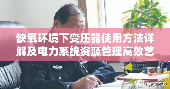 缺氧环境下变压器使用方法详解及电力系统资源管理高效艺术探索