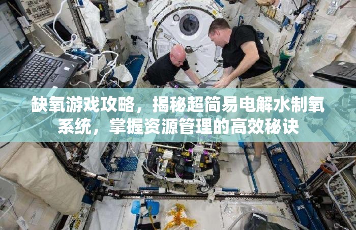 缺氧游戏攻略，揭秘超简易电解水制氧系统，掌握资源管理的高效秘诀