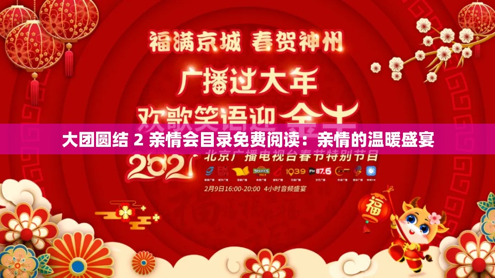 大团圆结 2 亲情会目录免费阅读：亲情的温暖盛宴