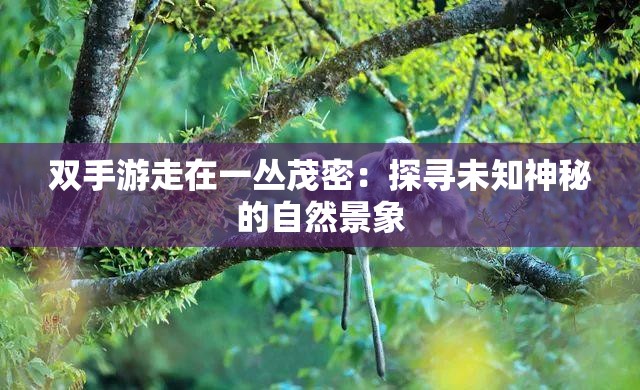 双手游走在一丛茂密：探寻未知神秘的自然景象