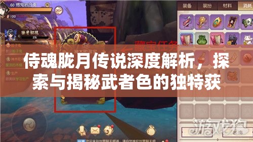 侍魂胧月传说深度解析，探索与揭秘武者色的独特获得途径