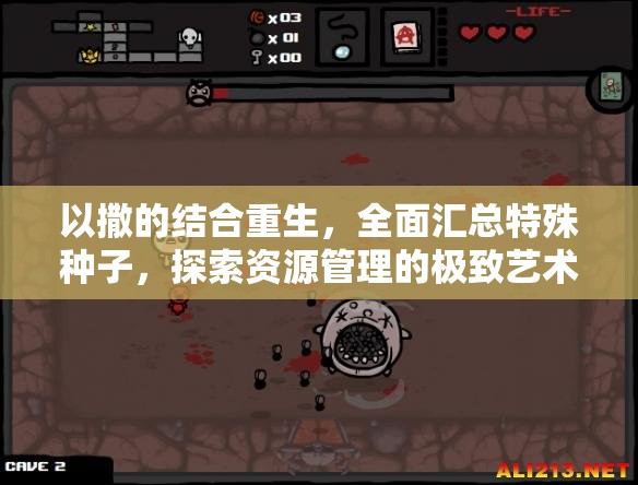 以撒的结合重生，全面汇总特殊种子，探索资源管理的极致艺术
