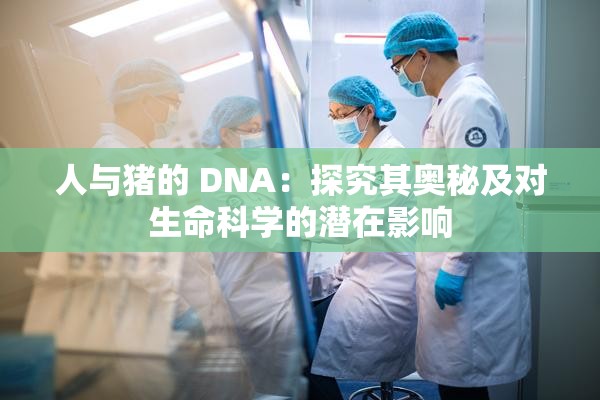 人与猪的 DNA：探究其奥秘及对生命科学的潜在影响