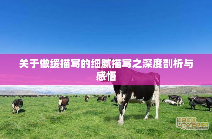 关于做缓描写的细腻描写之深度剖析与感悟