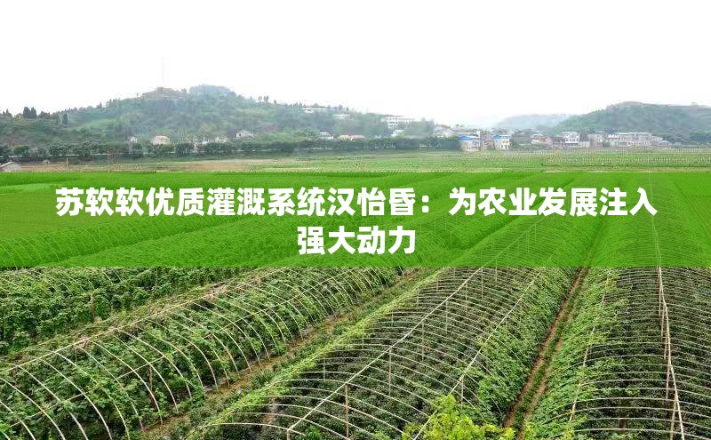 苏软软优质灌溉系统汉怡昏：为农业发展注入强大动力