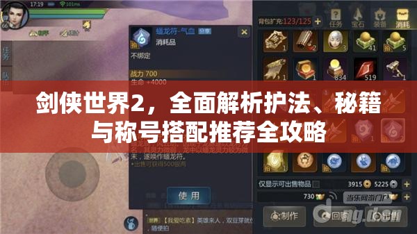 剑侠世界2，全面解析护法、秘籍与称号搭配推荐全攻略