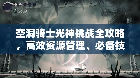 空洞骑士光神挑战全攻略，高效资源管理、必备技巧与制胜策略详解