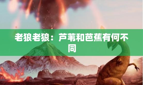 老狼老狼：芦苇和芭蕉有何不同