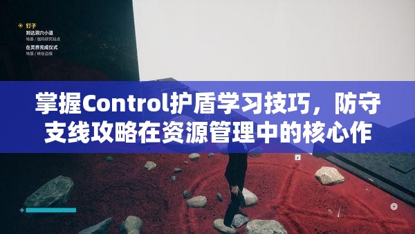 掌握Control护盾学习技巧，防守支线攻略在资源管理中的核心作用与优化策略解析