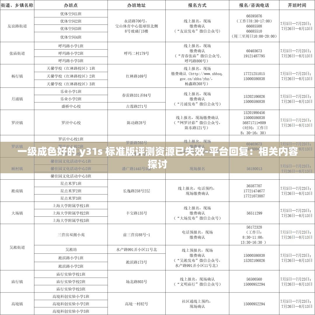 一级成色好的 y31s 标准版评测资源已失效-平台回复：相关内容探讨