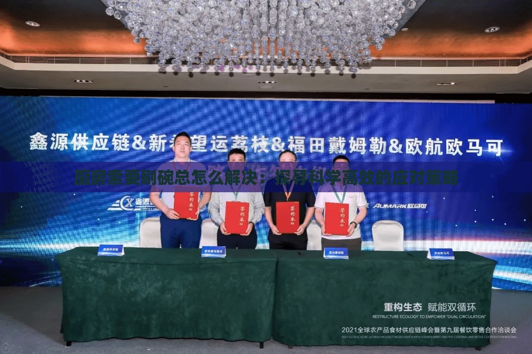 厨房索要刷碗总怎么解决：探寻科学高效的应对策略