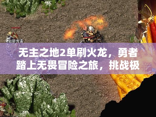 无主之地2单刷火龙，勇者踏上无畏冒险之旅，挑战极限火力