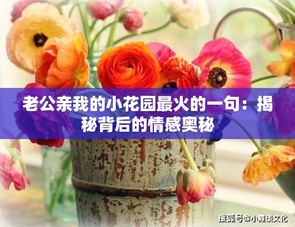 老公亲我的小花园最火的一句：揭秘背后的情感奥秘