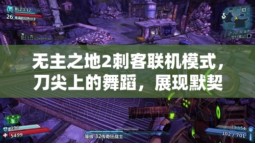 无主之地2刺客联机模式，刀尖上的舞蹈，展现默契与技巧的极致盛宴