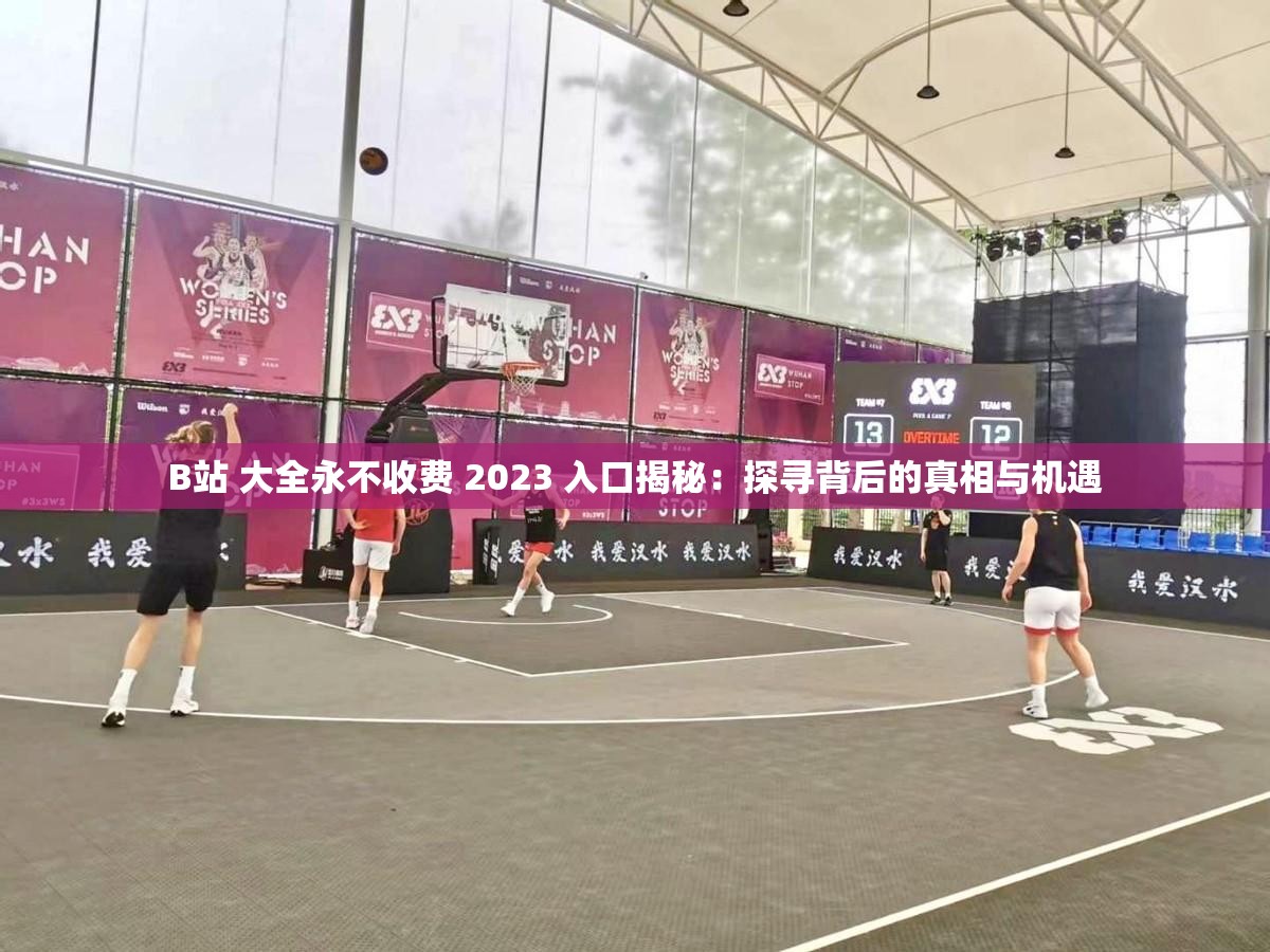 B站 大全永不收费 2023 入口揭秘：探寻背后的真相与机遇