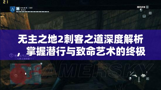 无主之地2刺客之道深度解析，掌握潜行与致命艺术的终极策略