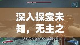 深入探索未知，无主之地2中四个未揭秘支线任务地点的资源管理策略与艺术