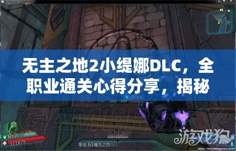 无主之地2小缇娜DLC，全职业通关心得分享，揭秘资源管理的艺术与技巧