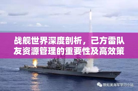 战舰世界深度剖析，己方雷队友资源管理的重要性及高效策略解析