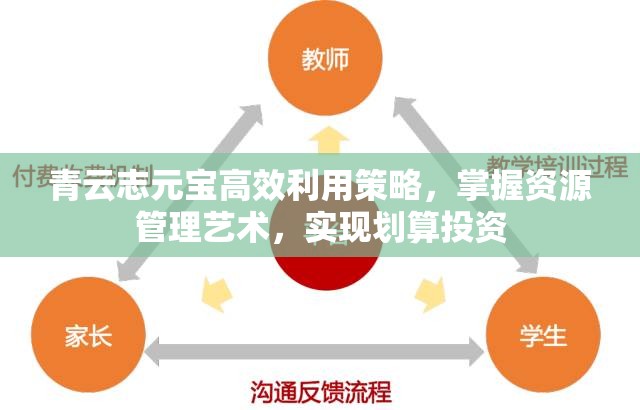 青云志元宝高效利用策略，掌握资源管理艺术，实现划算投资