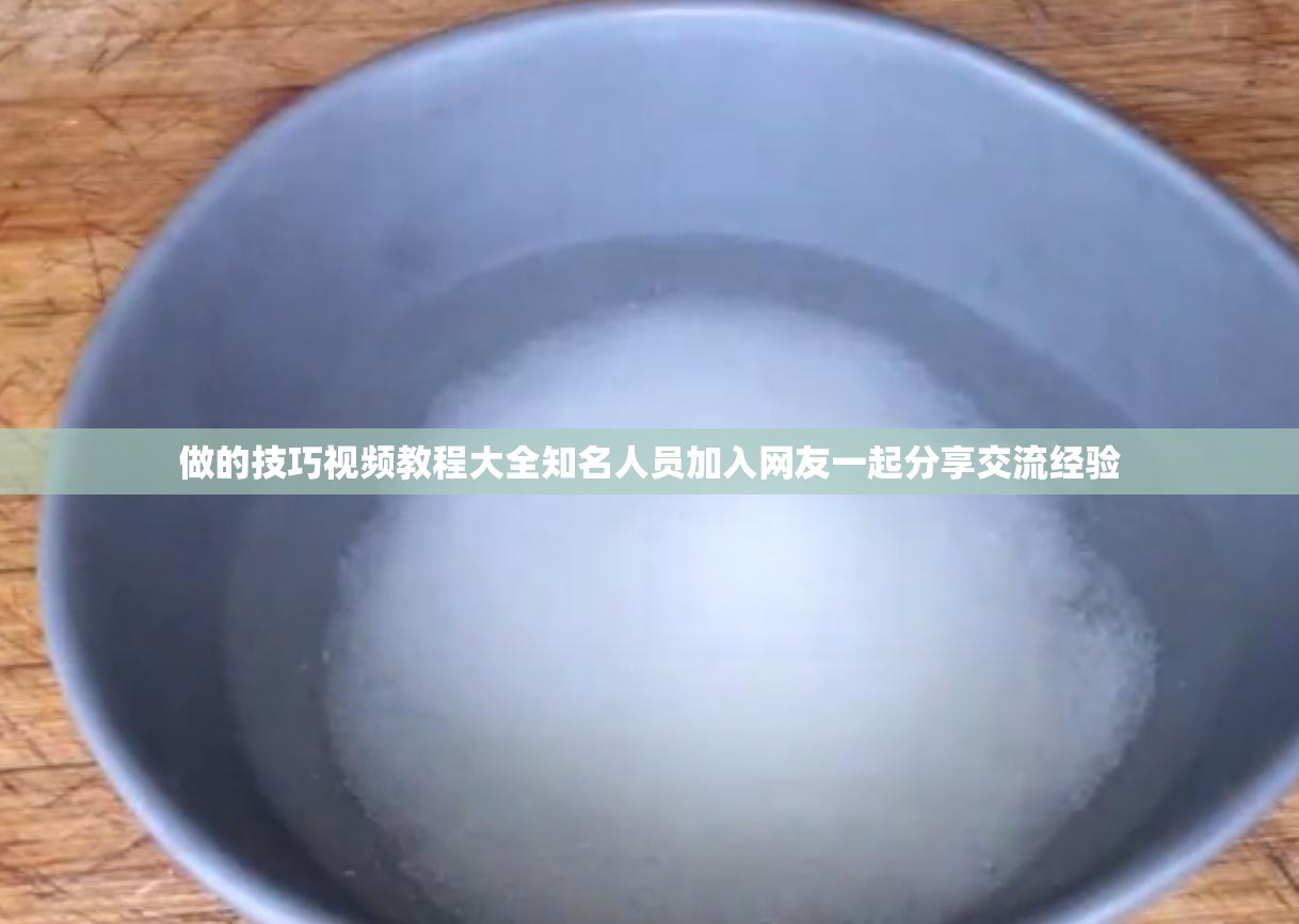 做的技巧视频教程大全知名人员加入网友一起分享交流经验