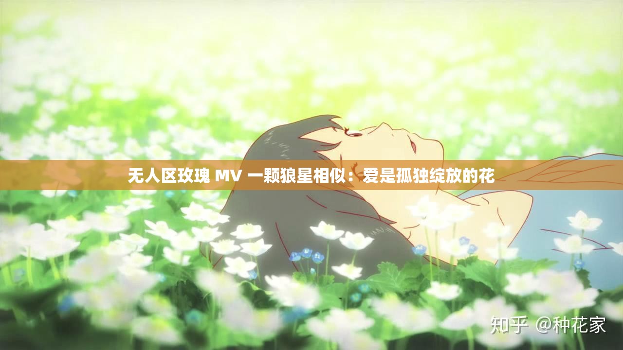 无人区玫瑰 MV 一颗狼星相似：爱是孤独绽放的花