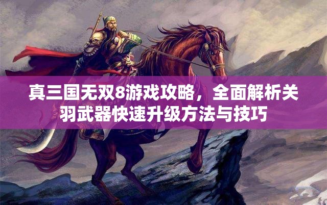 真三国无双8游戏攻略，全面解析关羽武器快速升级方法与技巧
