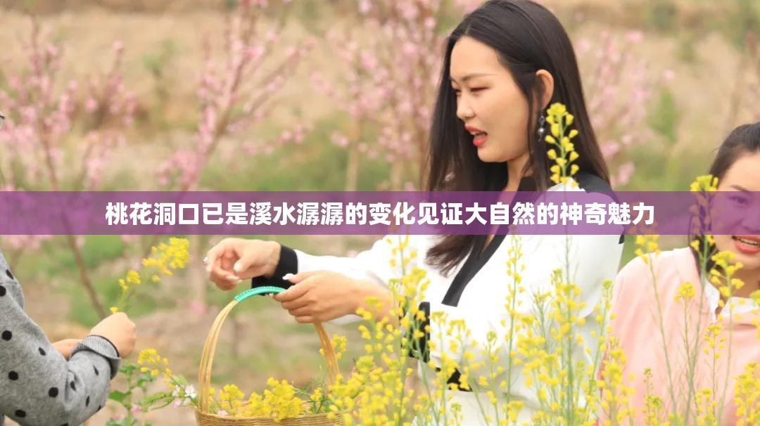 桃花洞口已是溪水潺潺的变化见证大自然的神奇魅力