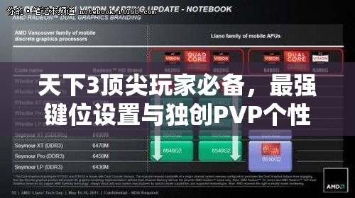 天下3顶尖玩家必备，最强键位设置与独创PVP个性化效果，助你战场所向披靡！