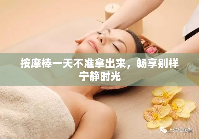 按摩棒一天不准拿出来，畅享别样宁静时光