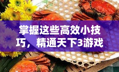 掌握这些高效小技巧，精通天下3游戏中的资源管理艺术