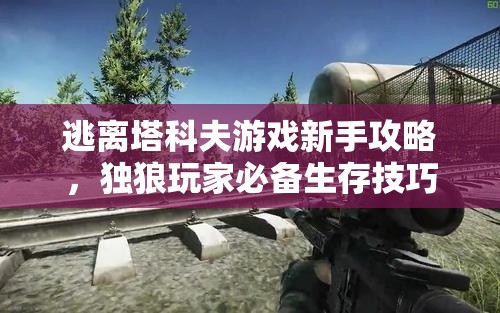 逃离塔科夫游戏新手攻略，独狼玩家必备生存技巧与指南详解