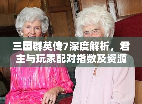 三国群英传7深度解析，君主与玩家配对指数及资源管理艺术探索